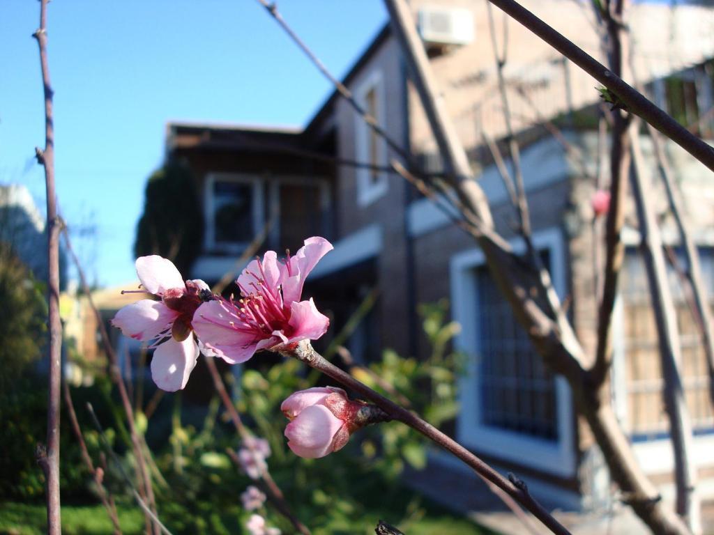 La Demorada Bed & Breakfast San Antonio de Areco Exterior foto